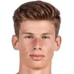 B. Ungureanu
