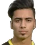 D. Rajabi