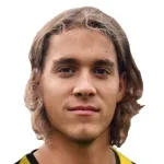 E. Heinonen