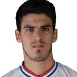 M. Malvino