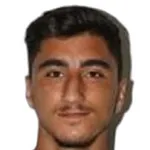 M. Yiğit