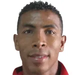 N. Amankwah-Mensah