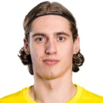 Ņ. Parfjonovs