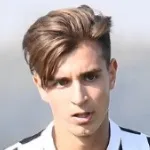 R. Capellini