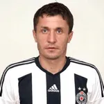 S. Ilic