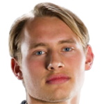 V. Dahlström Photo