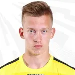 V. Dolzhenko