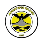 Arhavispor