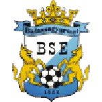 Balassagyarmat VSE logo