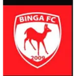 Binga logo