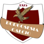 Borgosesia logo