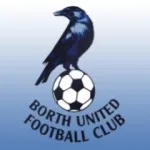 Borth United logo