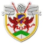 Bryntirion Athletic logo
