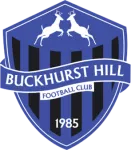 Buckhurst Hill logo