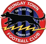 Bungay Town logo