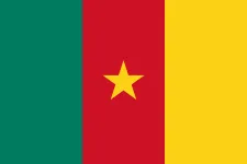 Cameroon W logo