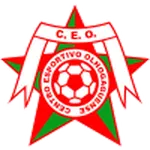 CEO logo