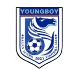 Dalian Yingbo B Logo