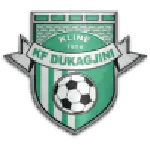 Dukagjini logo