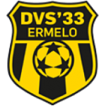 DVS 33 Ermelo Logo