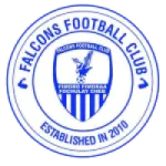 Falcons Logo