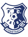 FCV Farul U19 logo