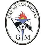 GAZ Metan Medias