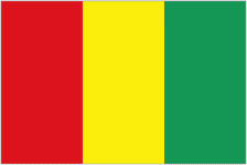 Guinea Logo
