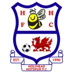 Holyhead Hotspur logo