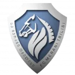 Merani Tbilisi II logo