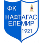 Naftagas Logo