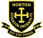 Norton & Stockton Logo