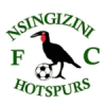 Nsingizini Hotspurs Logo