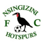 Nsingizini Hotspurs