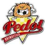 Orimattilan Pedot