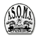 Paradise Logo