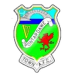 Pontardawe Town logo