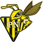 Progrès Niederkorn U19 logo