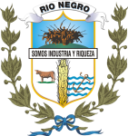 Río Negro Logo