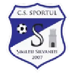 Sportul Şimleu logo
