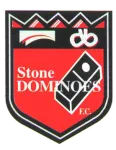 Stone Dominoes logo