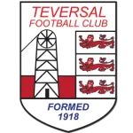 Teversal logo