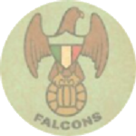 Toronto Falcons Logo