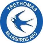 Trethomas Bluebirds