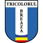 Tricolorul Breaza logo