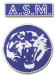 Vénissieux Logo