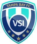 VSI Tampa Bay logo