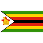 Zimbabwe U20 Logo