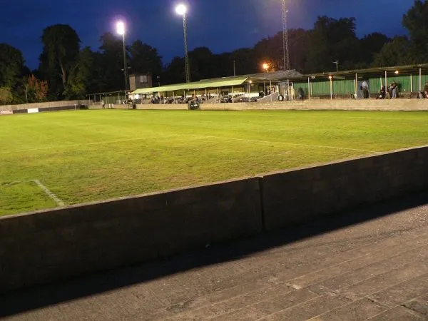 Fetcham Grove Stadion