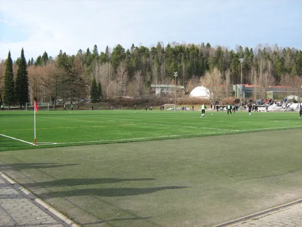 Kisapuiston tekonurmi Stadion